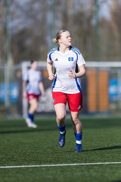 Bild 214 - F Hamburger SV 3 - Blau-Weiss 96 : Ergebnis: 5:1
